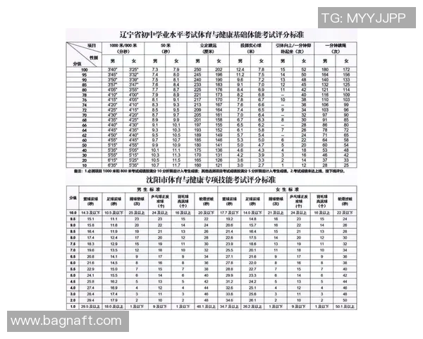 球员评分系统大比拼:评分标准全解析 球员评分系统大比拼:评分标准全解析